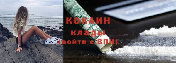 амф Коряжма