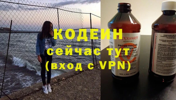 спайс Корсаков