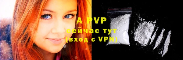 амф Коряжма