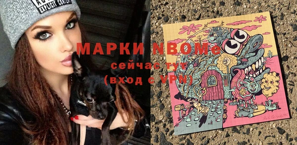 спайс Корсаков