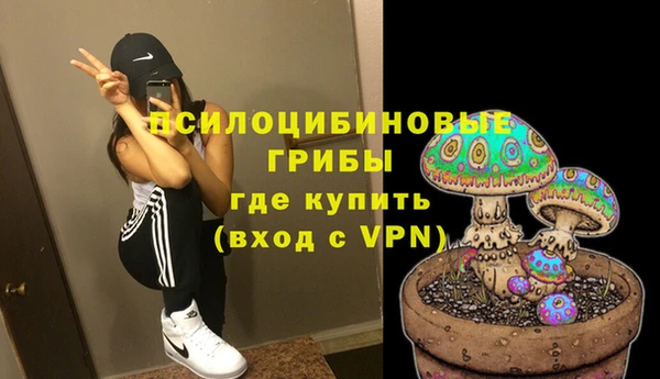 амф Коряжма