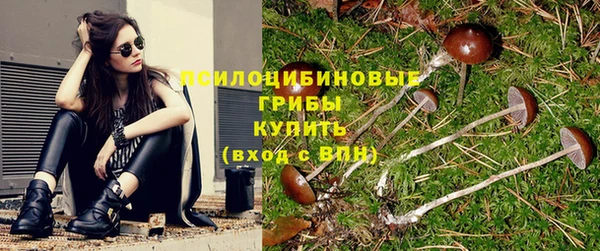 спайс Корсаков