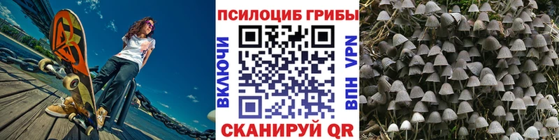 Купить  Южноуральск  Галлюциногенные грибы Cubensis 